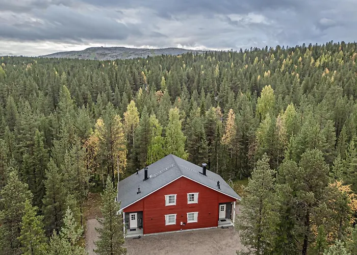 Aurelfox B By Aavalevi Daire *