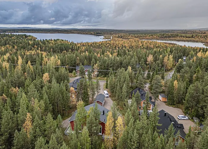 Aurelfox B By Aavalevi Daire *