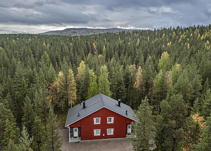 Aurelfox B By Aavalevi Daire *