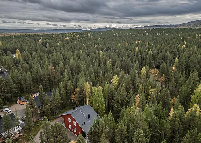 Aurelfox B By Aavalevi Levi