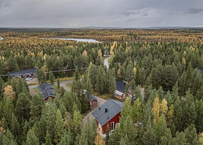 Aurelfox B By Aavalevi Daire *